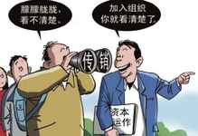 黑龙江虚拟币传销(黑龙江虚拟币传销案件)