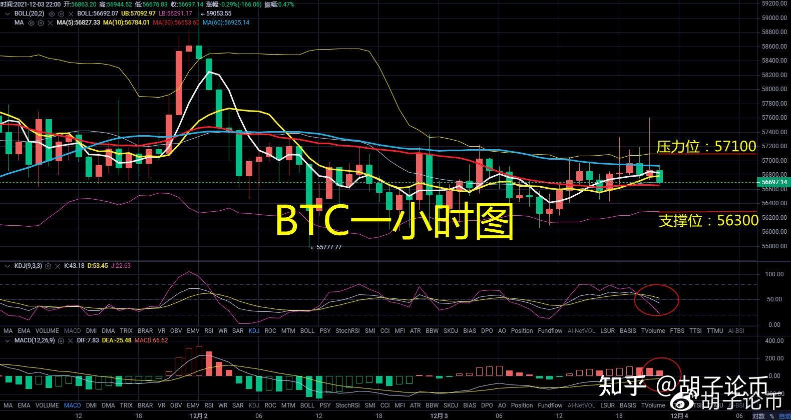 虚拟币试点(虚拟币交易政策)