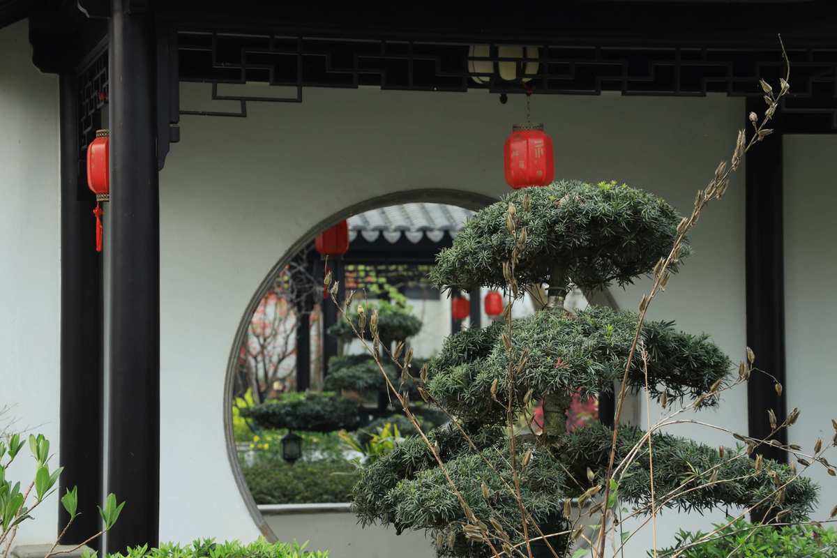 微派虚拟币(微派币最新消息)