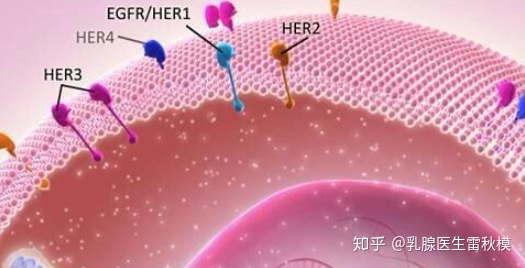 基因链虚拟币(基因币最新消息)