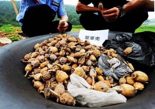 虚拟币贩卖(虚拟币出售安全吗)