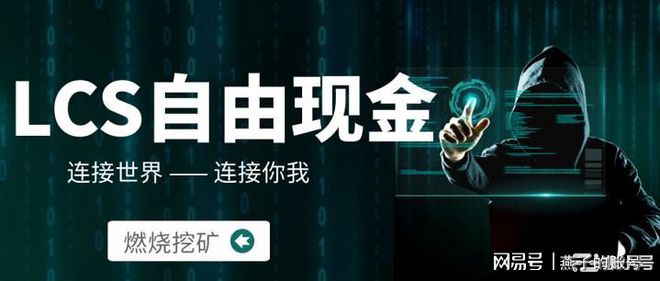 lcs虚拟币(rice虚拟币)