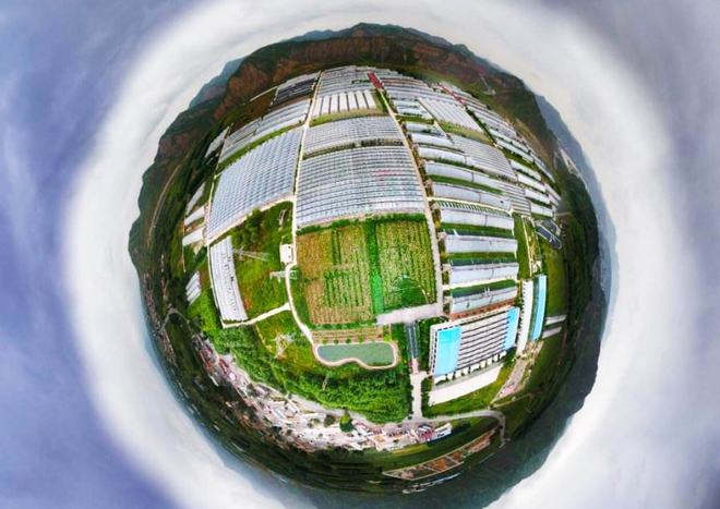 虚拟币养殖(虚拟币赚钱真的可靠吗2020)